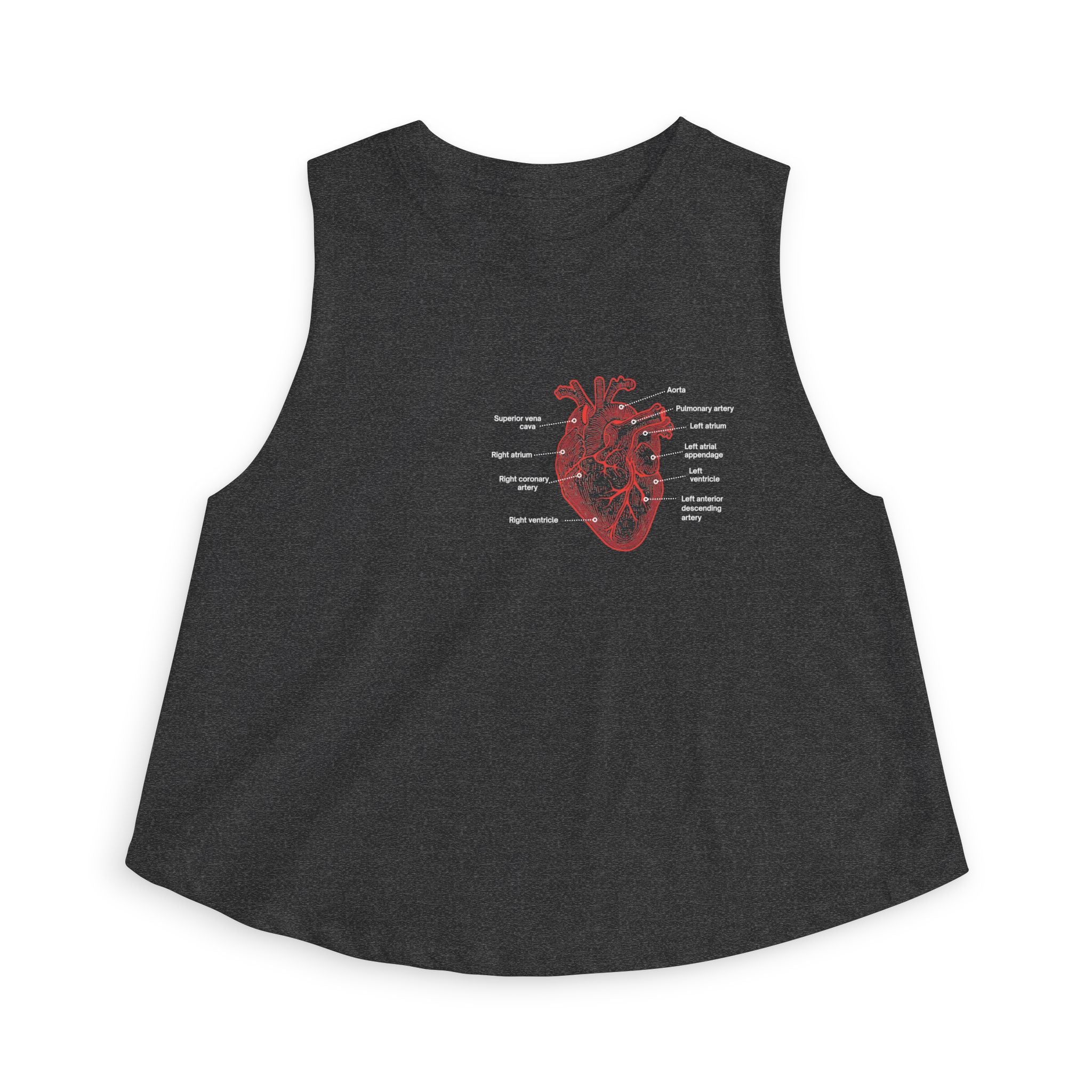 Anatomical Heart Women's Crop Tank