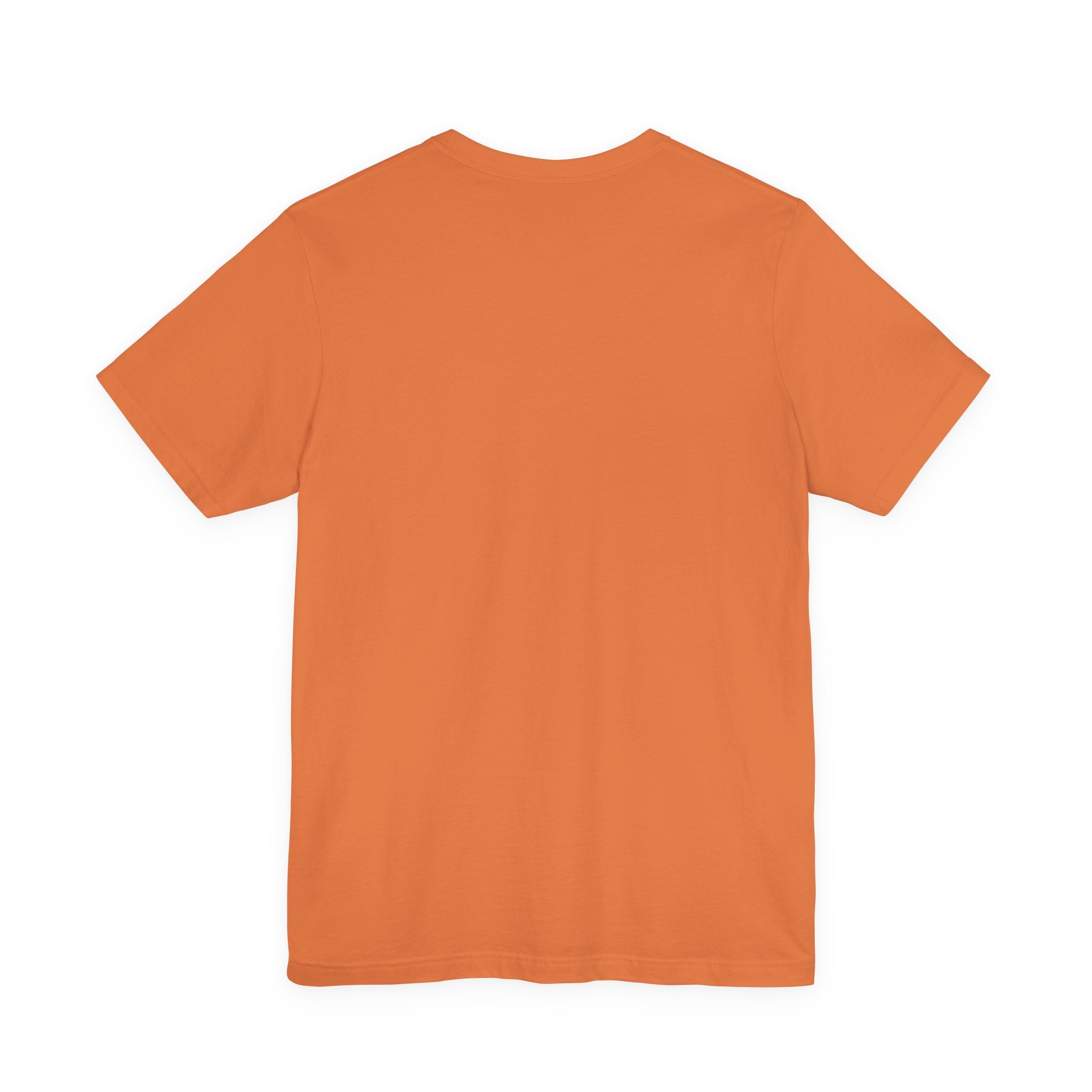 Air Evac Lifeteam Distressed Flag Jersey Tee