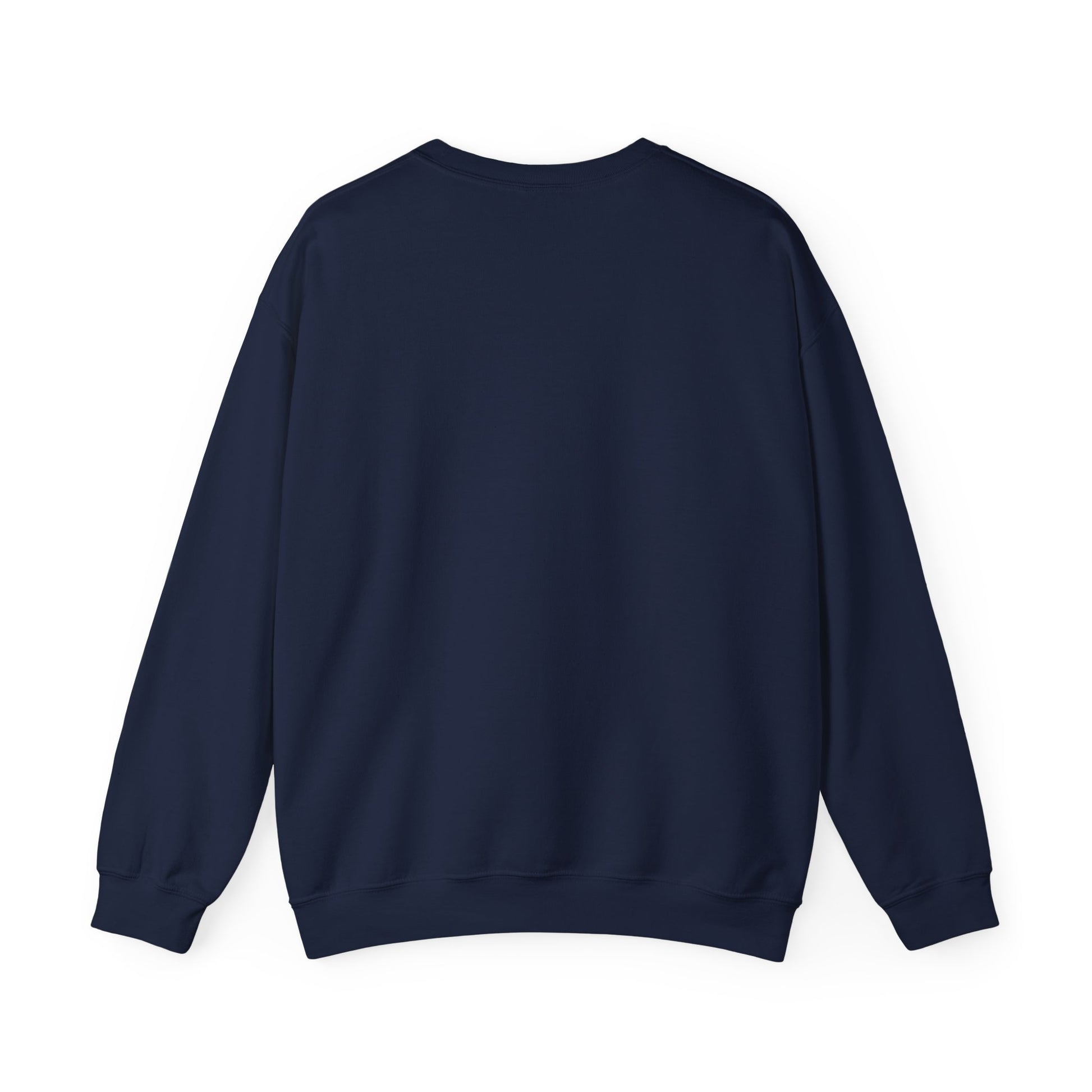 Navy sweatshirt on a white background