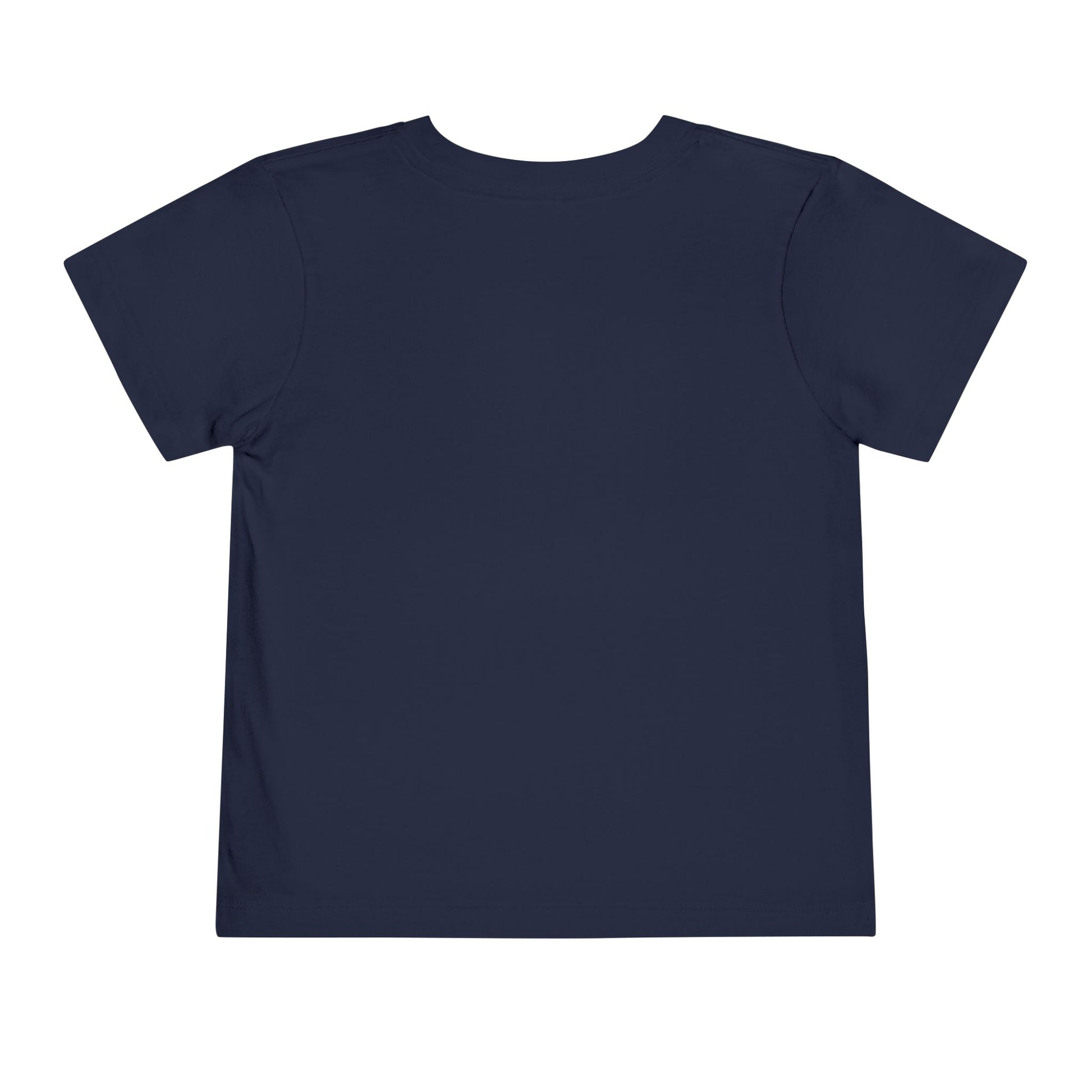 Navy t-shirt on a white background