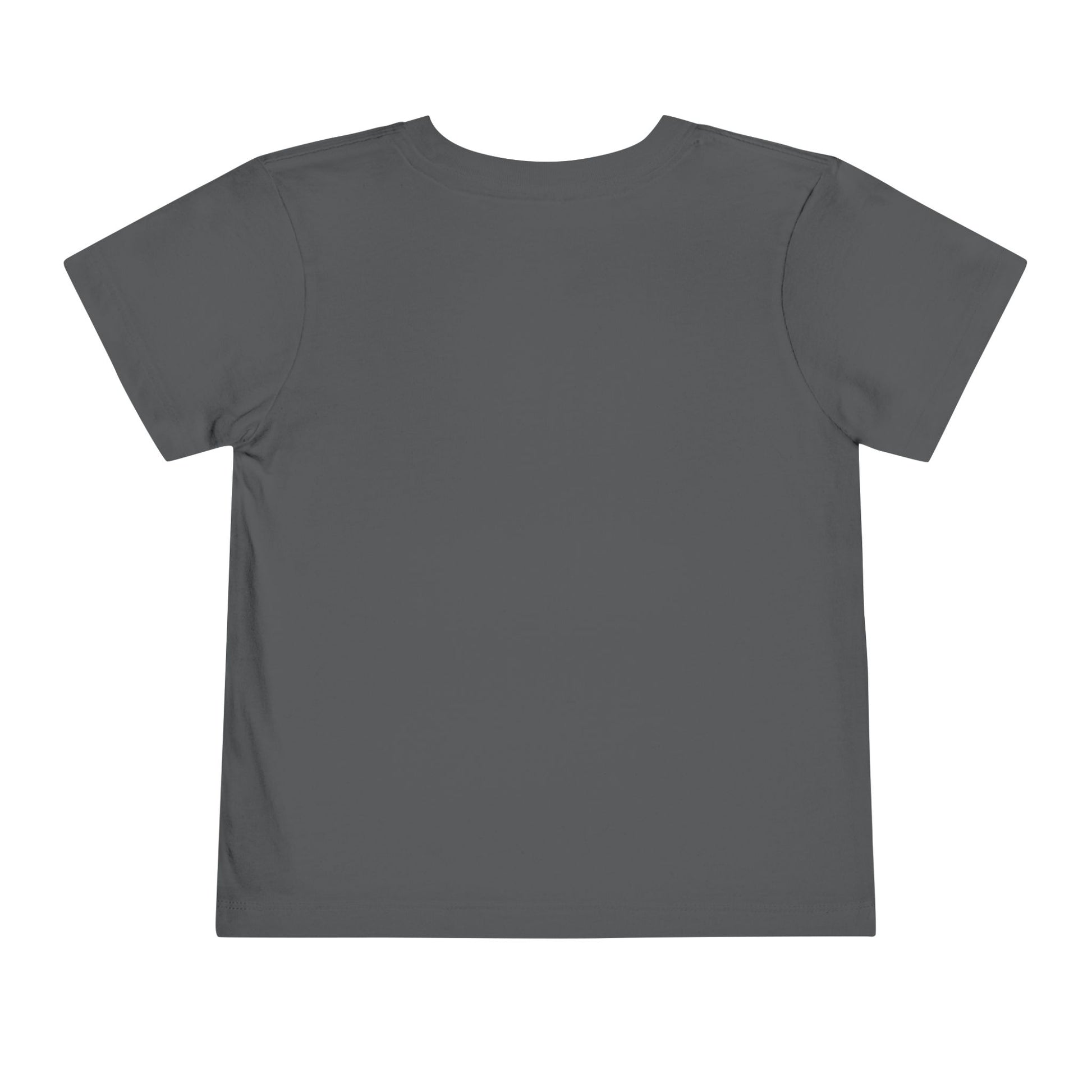 Plain gray t-shirt on a white background