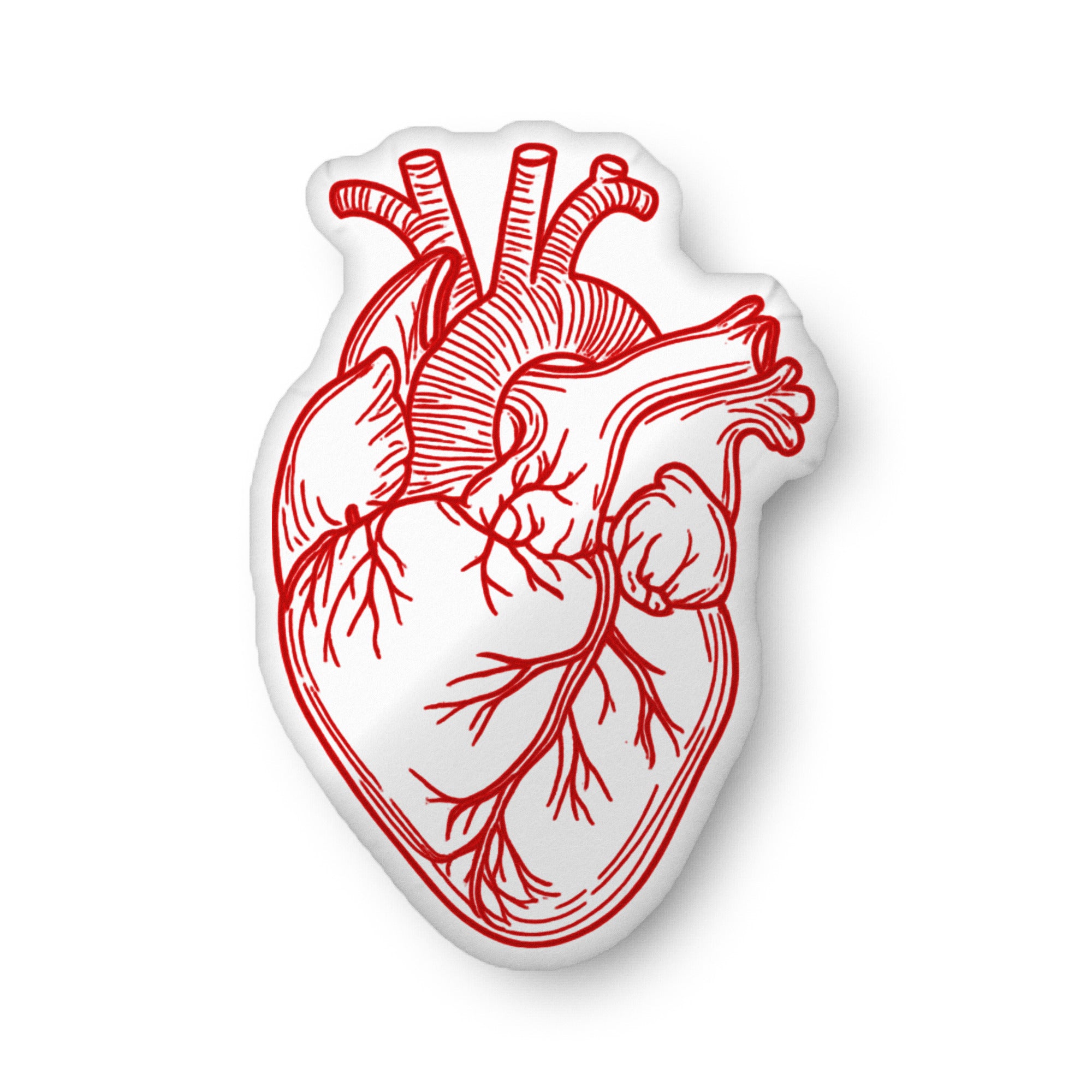 Anatomical heart shaped pillow