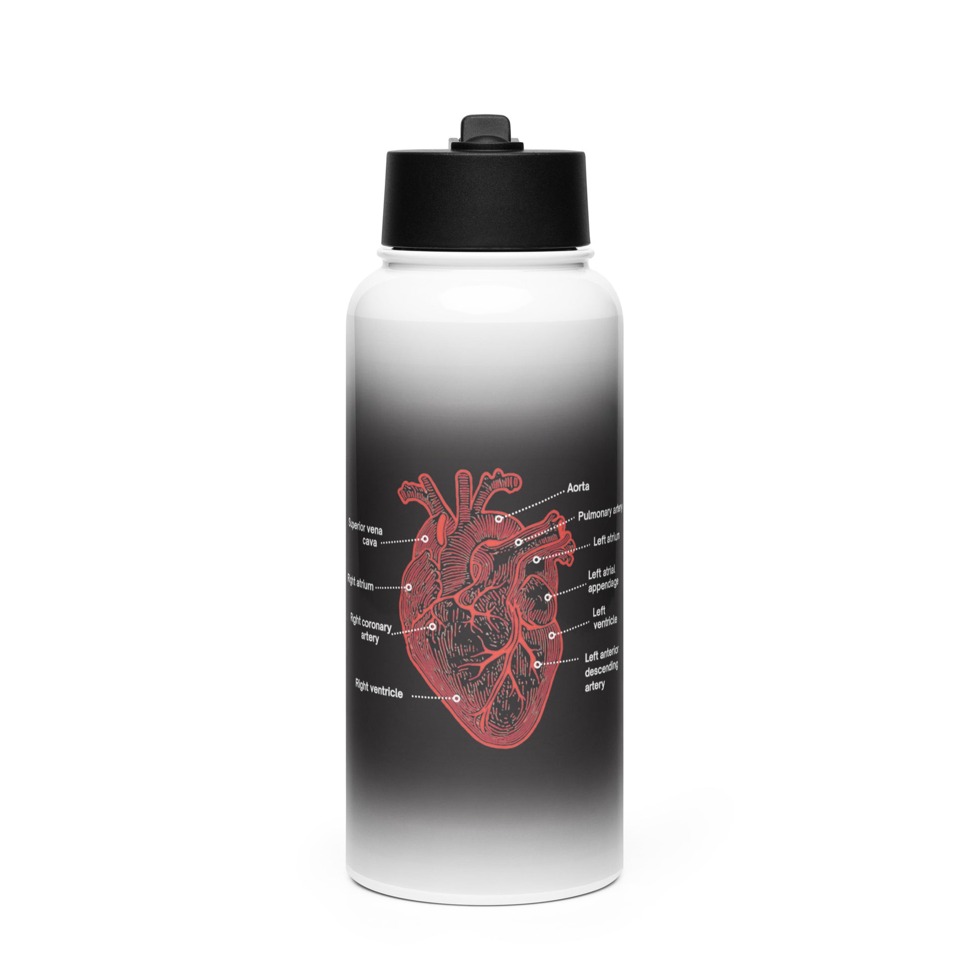 Water bottle with a black and white design of an anatomical heart by Rotor Wash & Wear