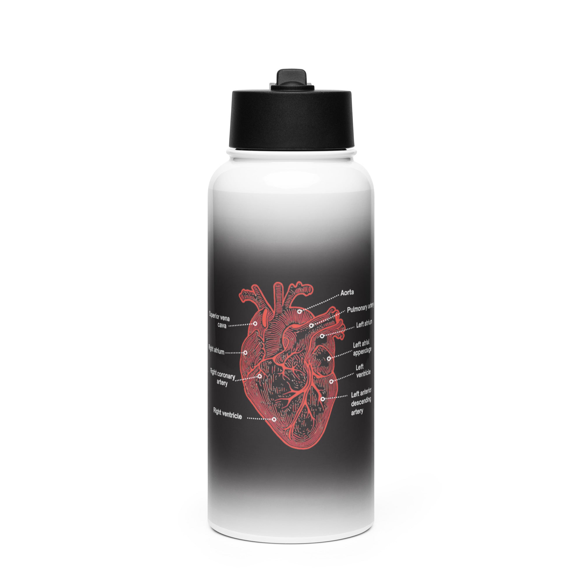 Water bottle with a black and white design of an anatomical heart by Rotor Wash & Wear